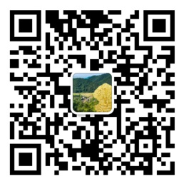 盈彩网app下载